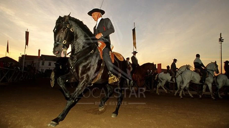 Moradia T5 para Venda em Golegã Foto 23