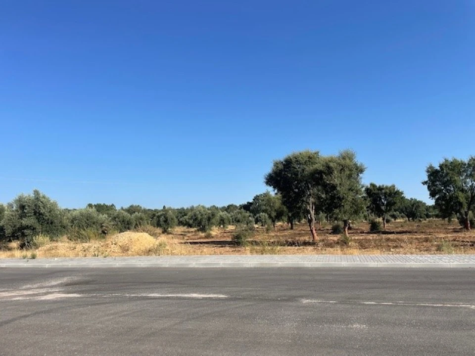 Terreno Comércio / Armazém para Venda em Ponte de Sor, Tramaga e Vale de Açor Foto 3