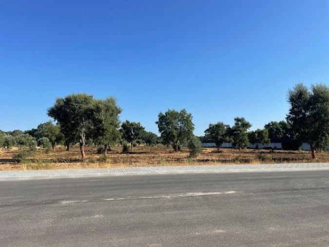 Terreno Comércio / Armazém para Venda em Ponte de Sor, Tramaga e Vale de Açor Foto 2
