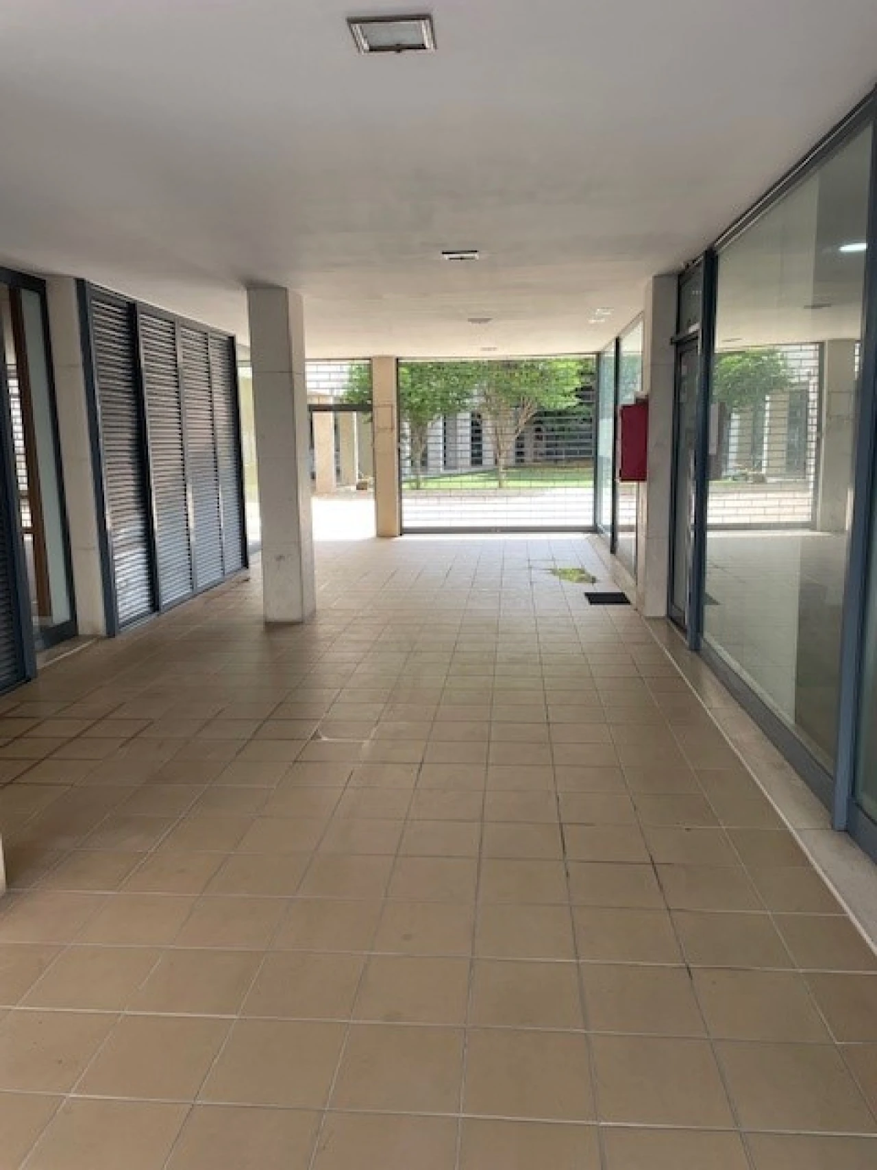 Loja para Arrendamento em Ponte de Sor, Tramaga e Vale de Açor Foto 6