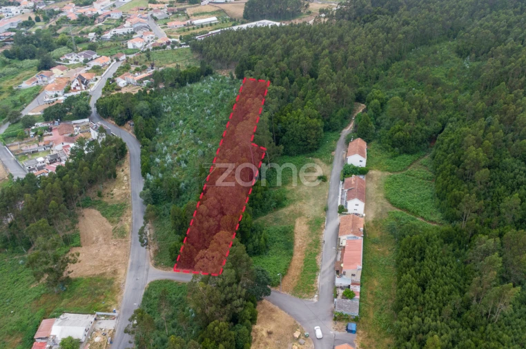 Terreno para Venda em Grijó e Sermonde Foto 2