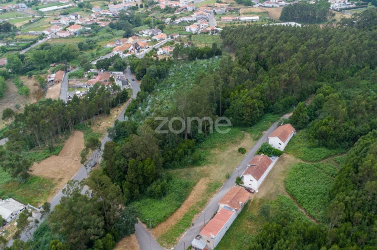 Terreno para Venda em Grijó e Sermonde Foto 6