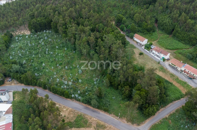 Terreno para Venda em Grijó e Sermonde Foto 4