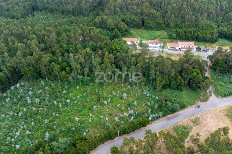 Terreno para Venda em Grijó e Sermonde Foto 8