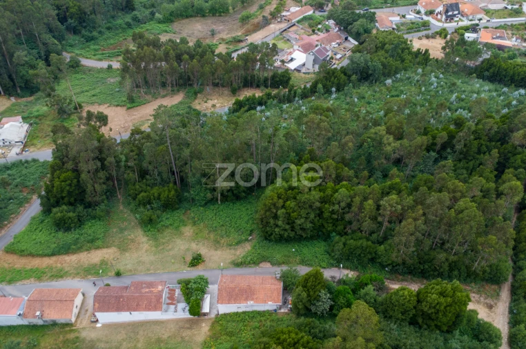 Terreno para Venda em Grijó e Sermonde Foto 10