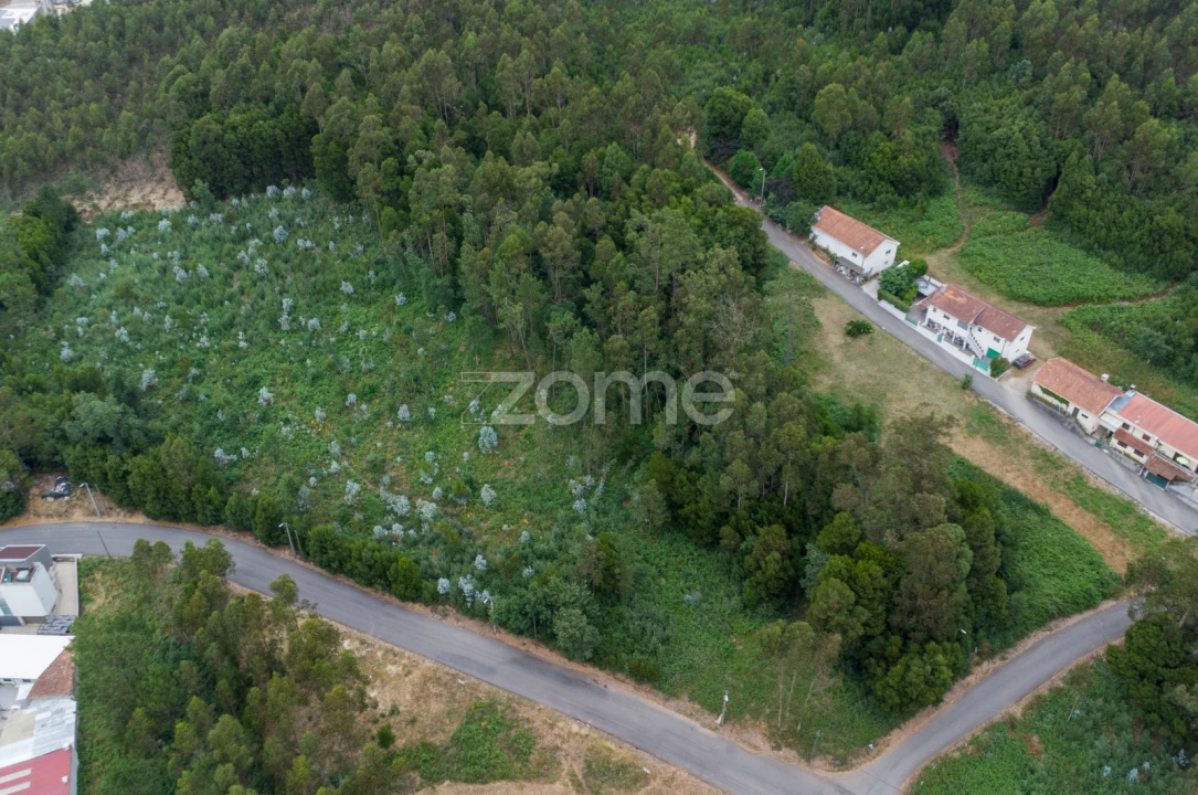 Terreno para Venda em Grijó e Sermonde Foto 1