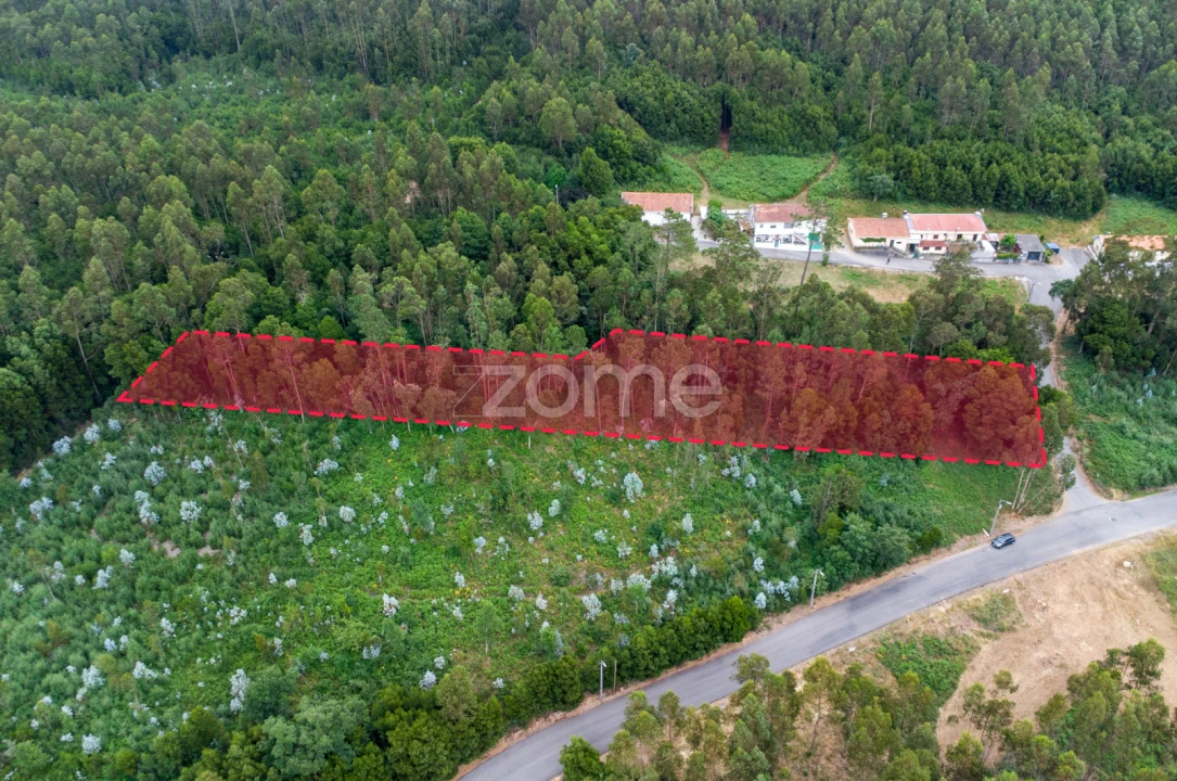 Terreno para Venda em Grijó e Sermonde Foto 8