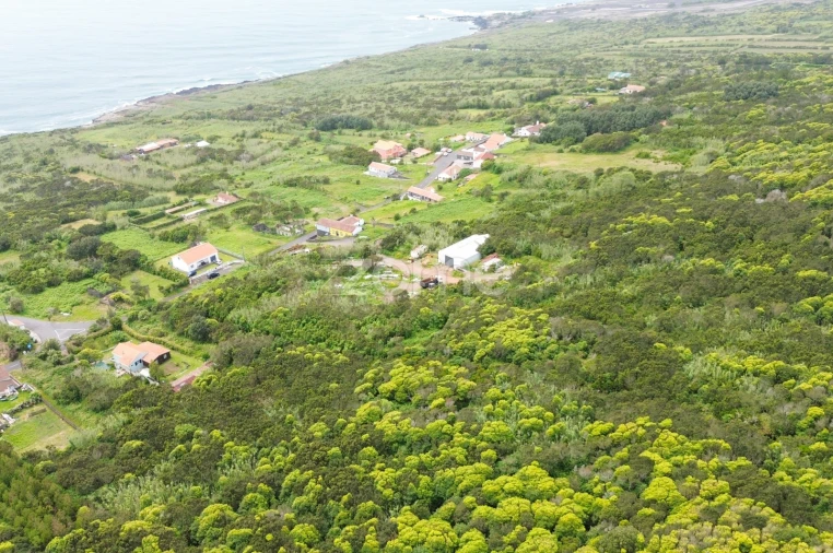 Terreno para Venda em Capelo