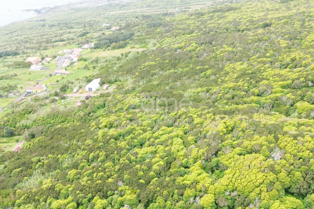 Terreno para Venda em Capelo Foto 3