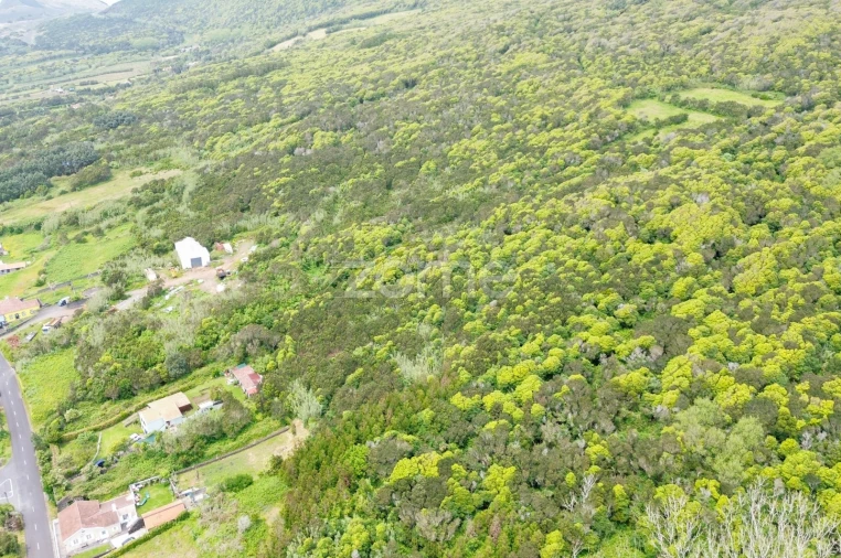 Terreno para Venda em Capelo Foto 6