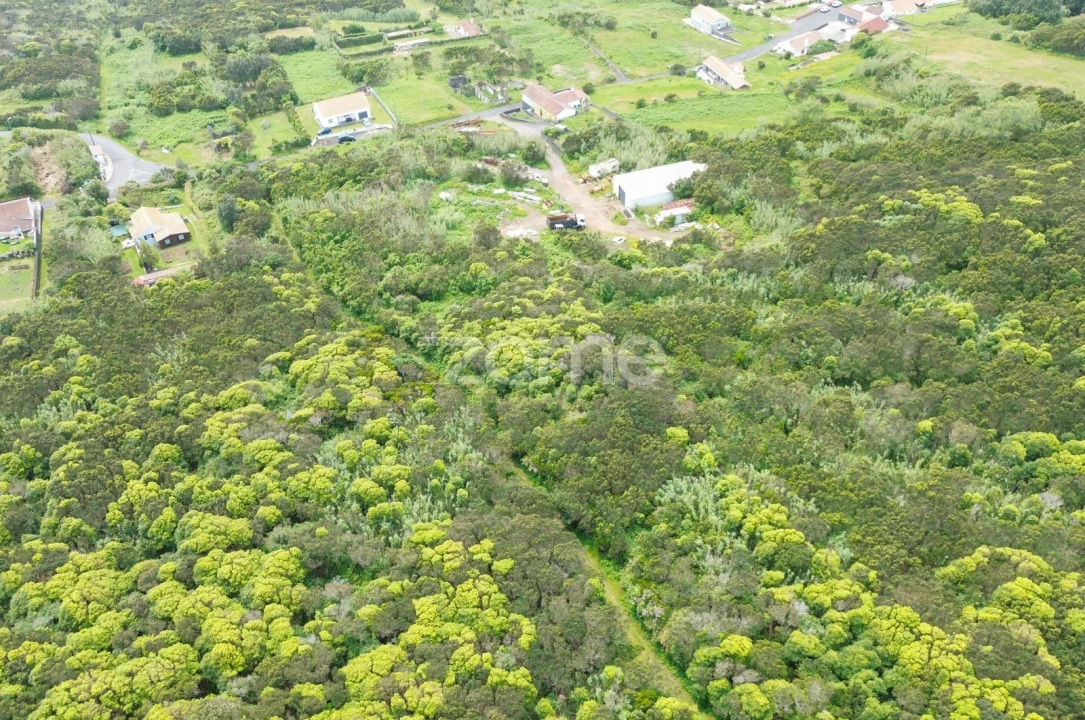 Terreno para Venda em Capelo Foto 3