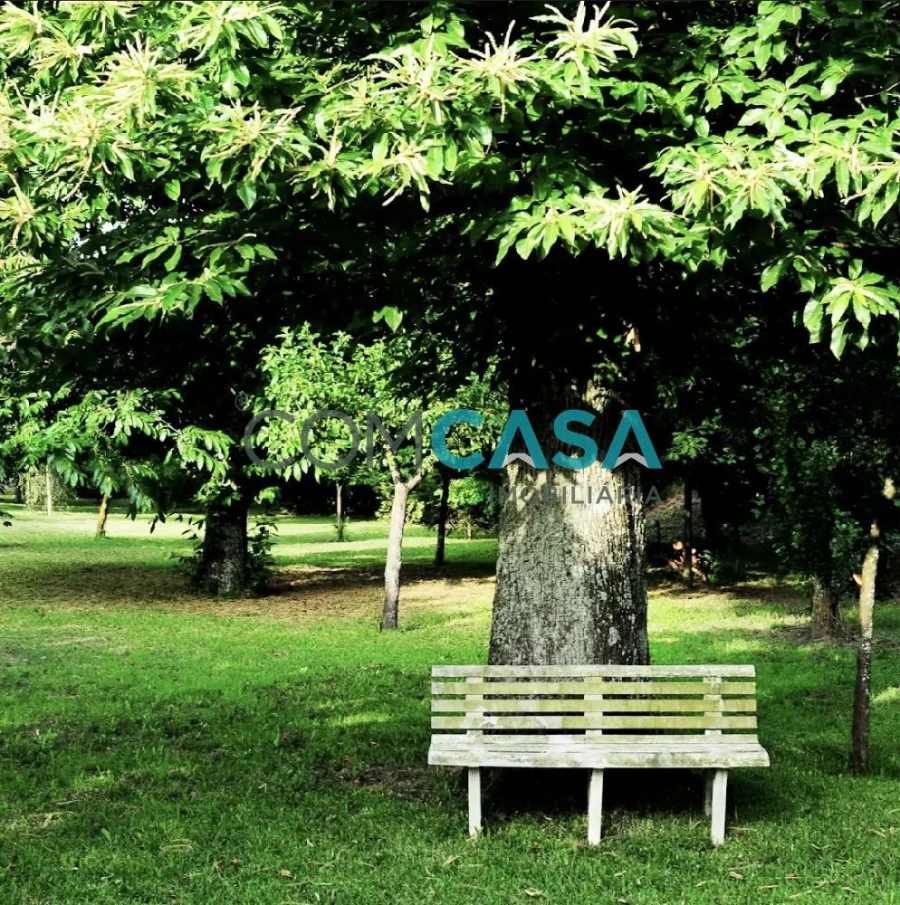 Quinta T8 para Venda em Vila Nova de Famalicão e Calendário Foto 12