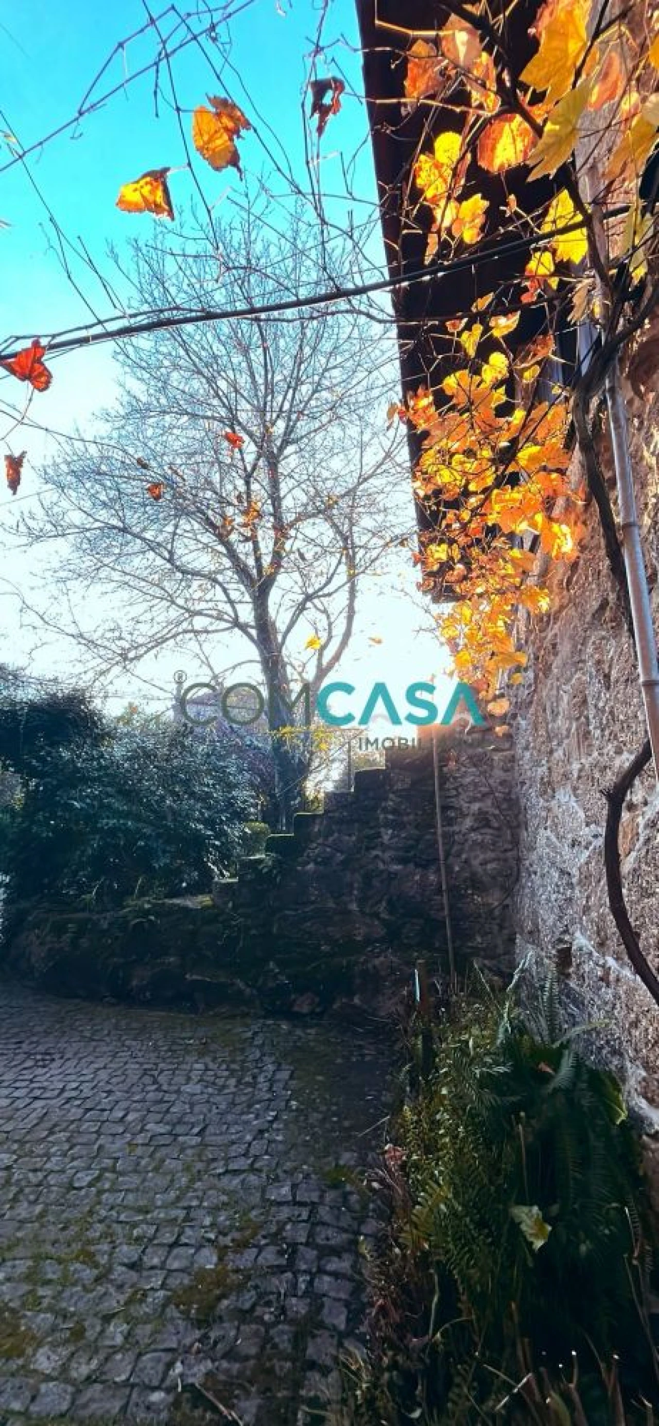 Quinta T8 para Venda em Vila Nova de Famalicão e Calendário Foto 51