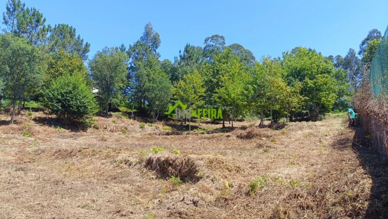 Terreno para Venda em Macieira de Cambra Foto 2