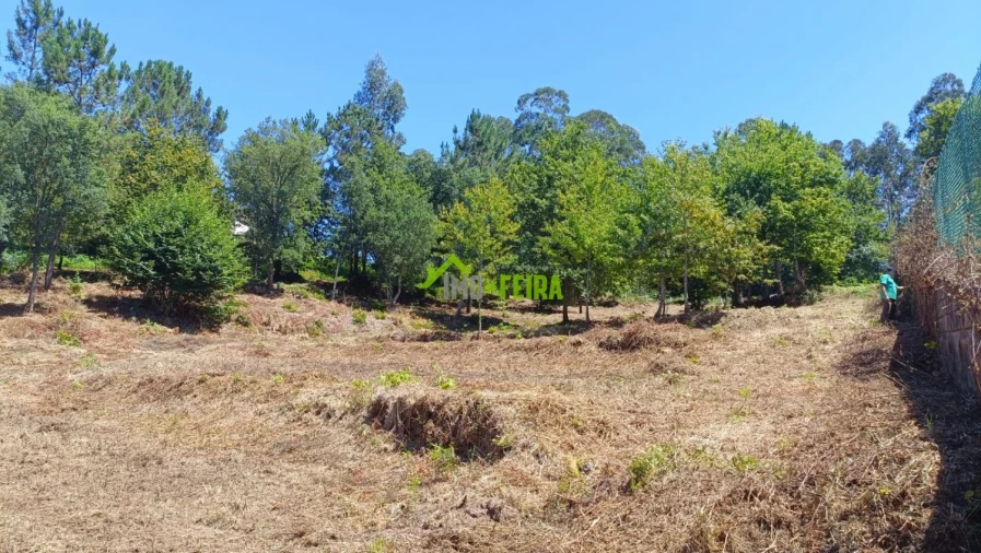 Terreno para Venda em Macieira de Cambra Foto 2