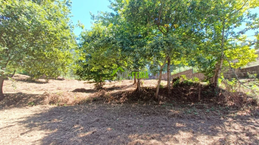 Terreno para Venda em Macieira de Cambra Foto 5