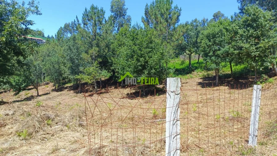 Terreno para Venda em Macieira de Cambra Foto 6