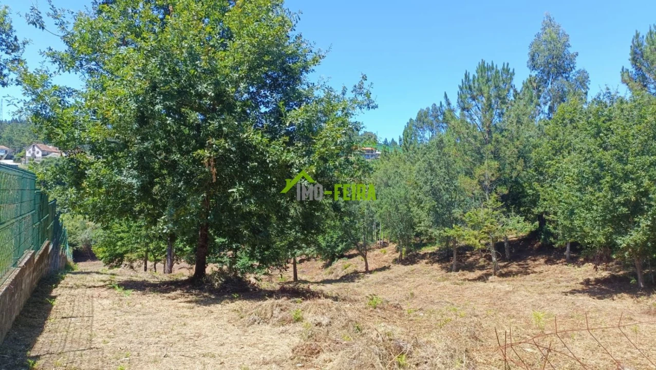 Terreno para Venda em Macieira de Cambra Foto 4