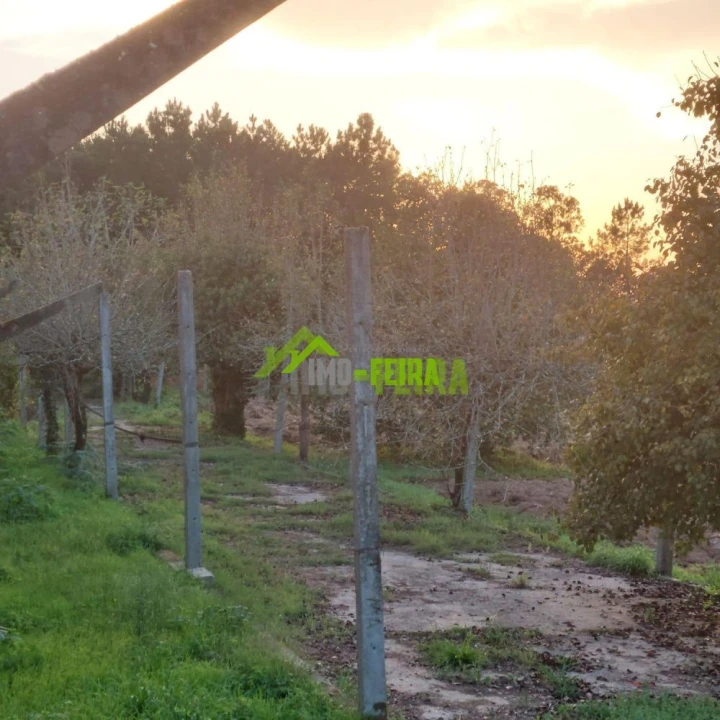 Terreno para Venda em São Miguel do Souto e Mosteirô Foto 5