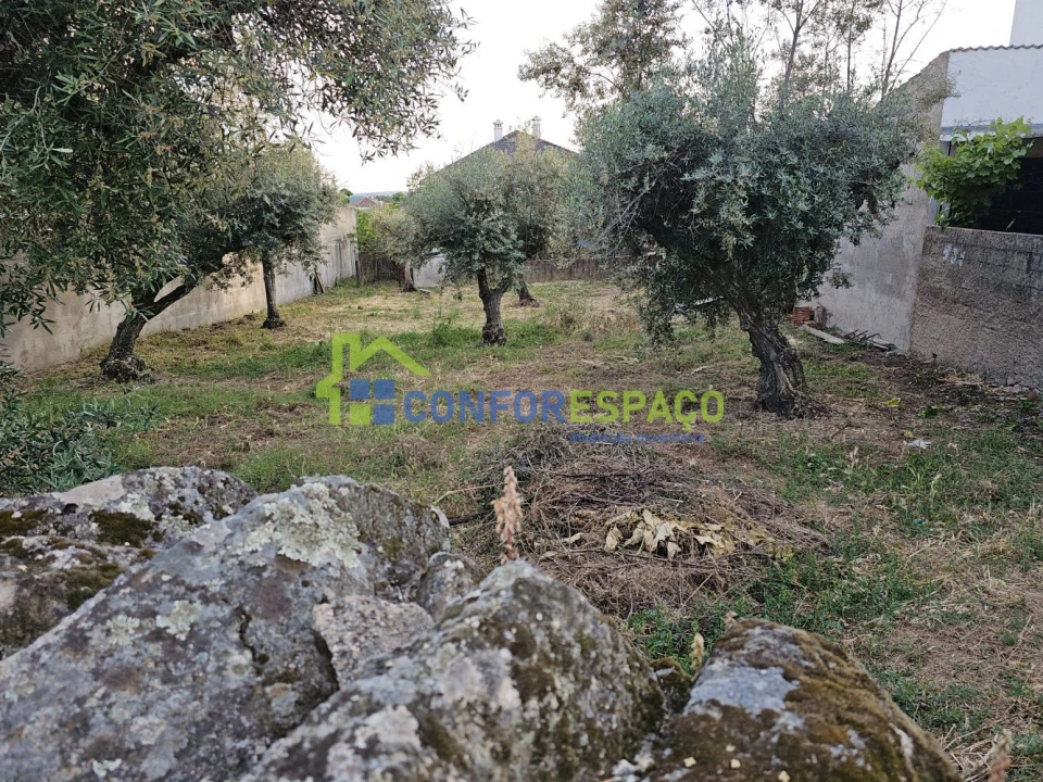Terreno para Venda em Castelo Branco Foto 7