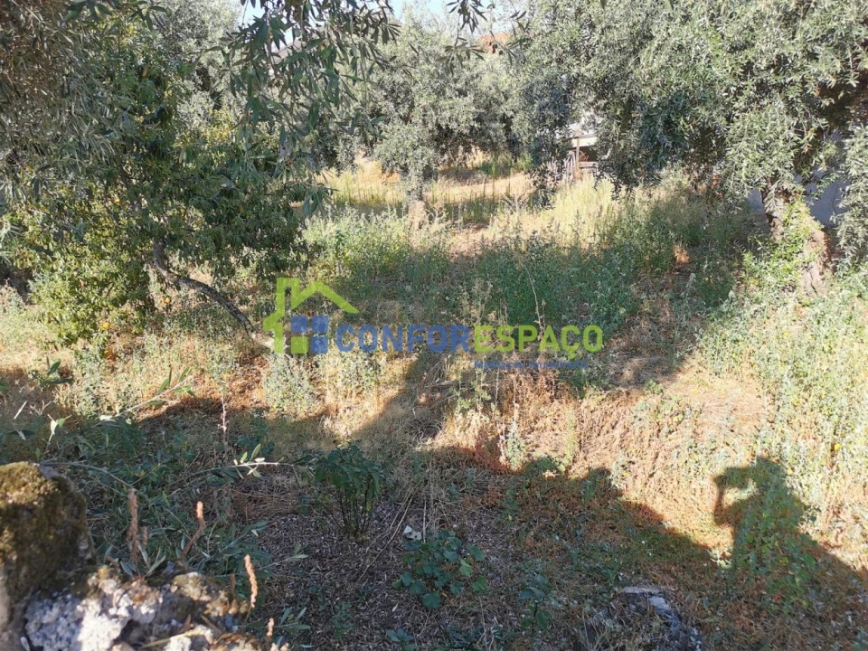 Terreno para Venda em Castelo Branco Foto 3