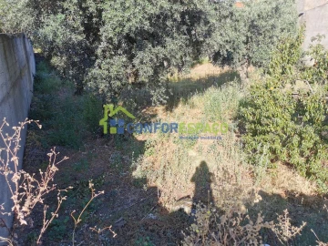 Terreno para Venda em Castelo Branco