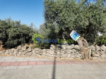 Terreno para Venda em Castelo Branco
