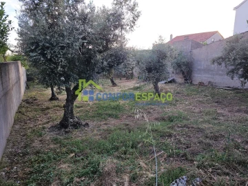 Terreno para Venda em Castelo Branco