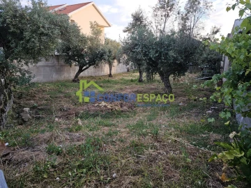 Terreno para Venda em Castelo Branco