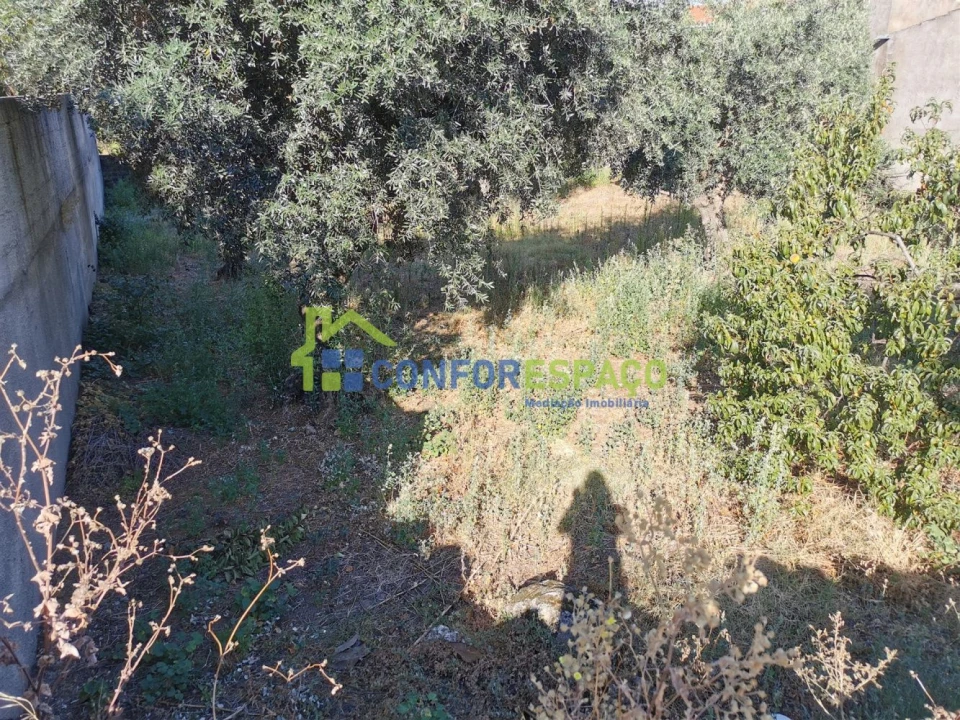 Terreno para Venda em Castelo Branco Foto 4