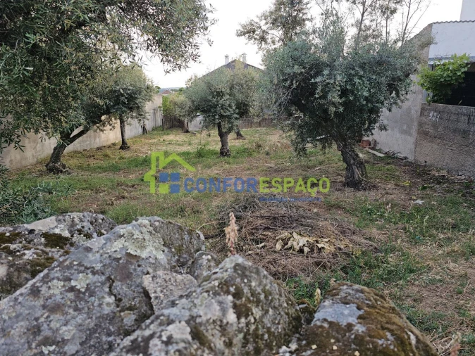 Terreno para Venda em Castelo Branco Foto 7
