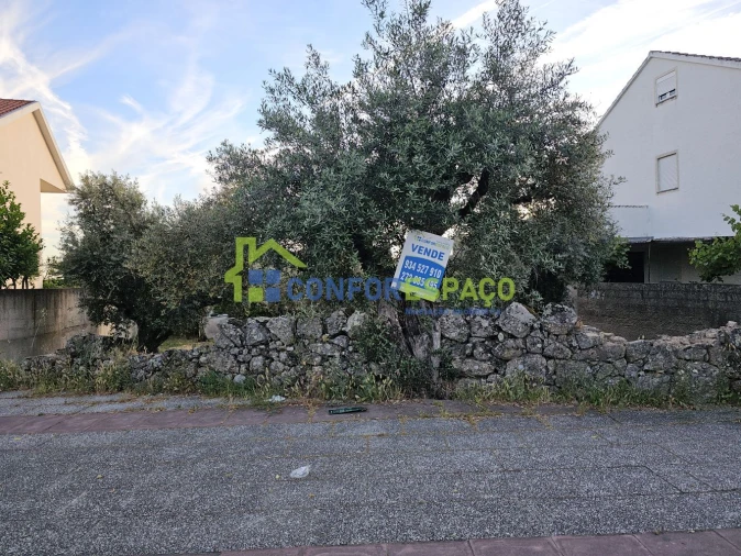 Terreno para Venda em Castelo Branco Foto 5