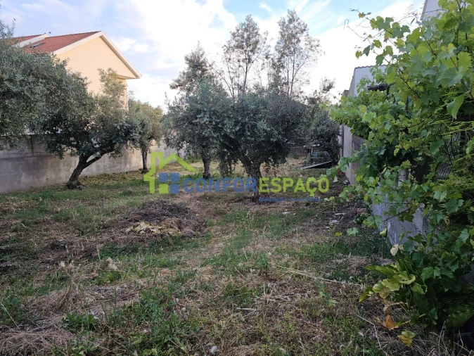 Terreno para Venda em Castelo Branco Foto 8