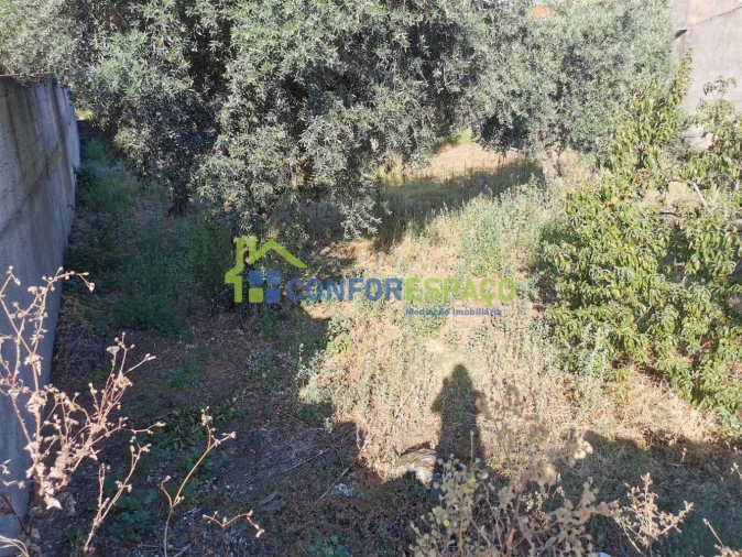 Terreno para Venda em Castelo Branco Foto 4