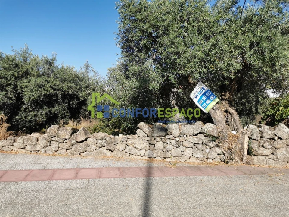 Terreno para Venda em Castelo Branco Foto 1