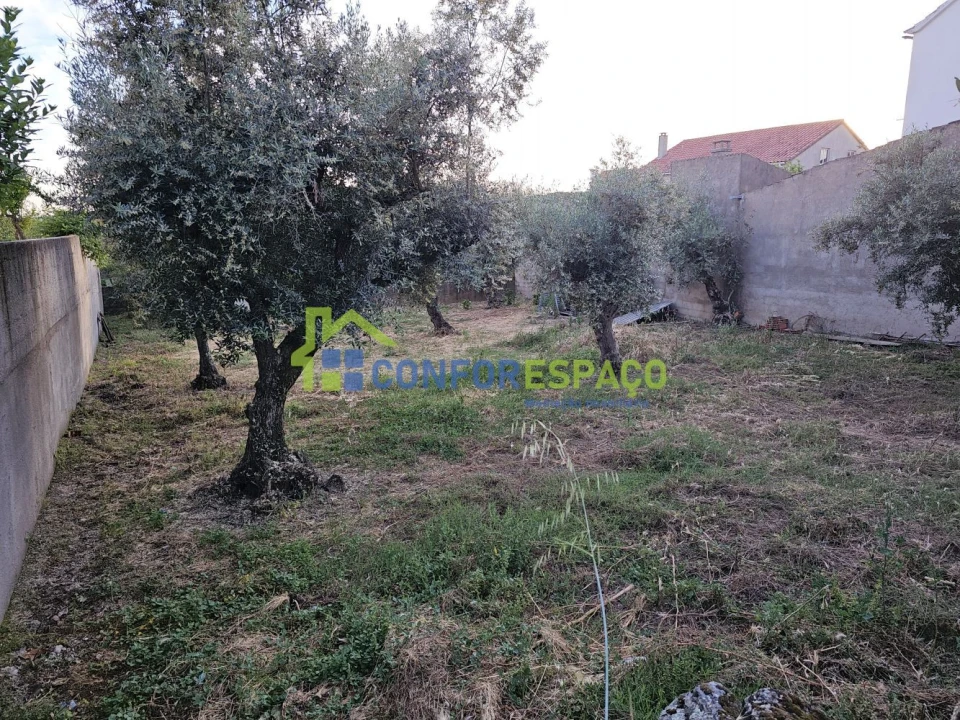 Terreno para Venda em Castelo Branco Foto 6