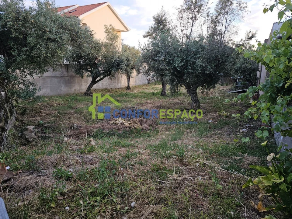 Terreno para Venda em Castelo Branco Foto 9