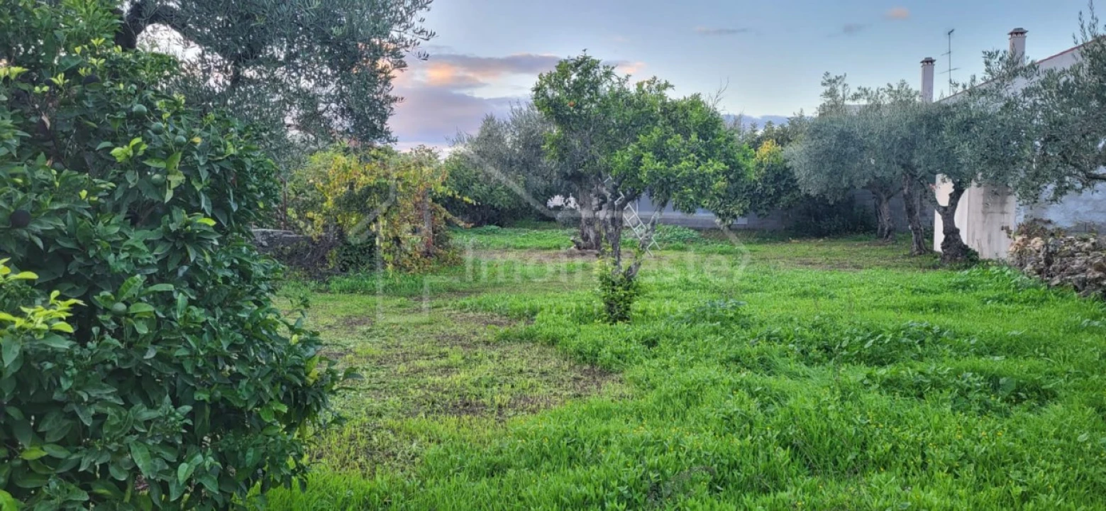 Terreno para Venda em Alcains Foto 3