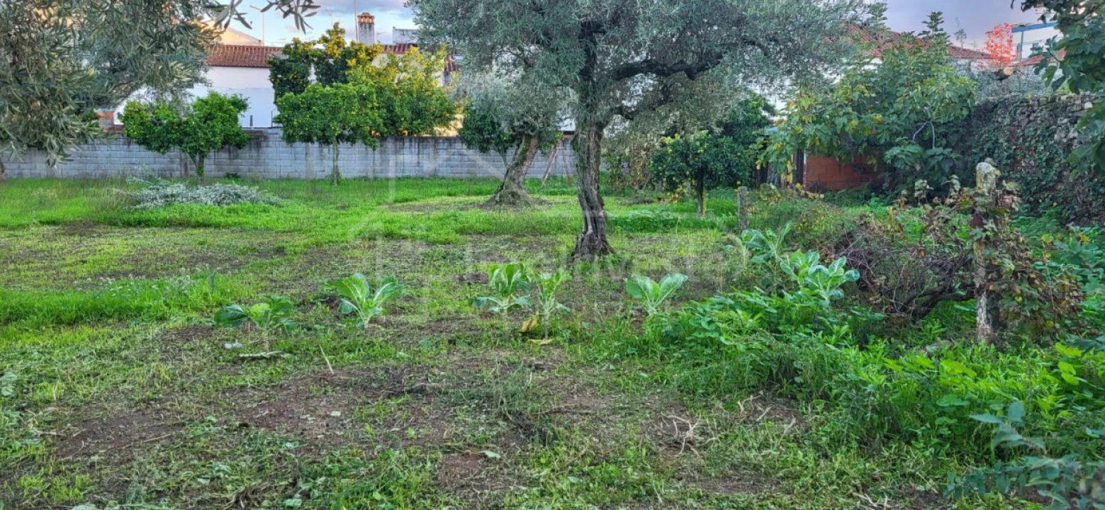 Terreno para Venda em Alcains Foto 5