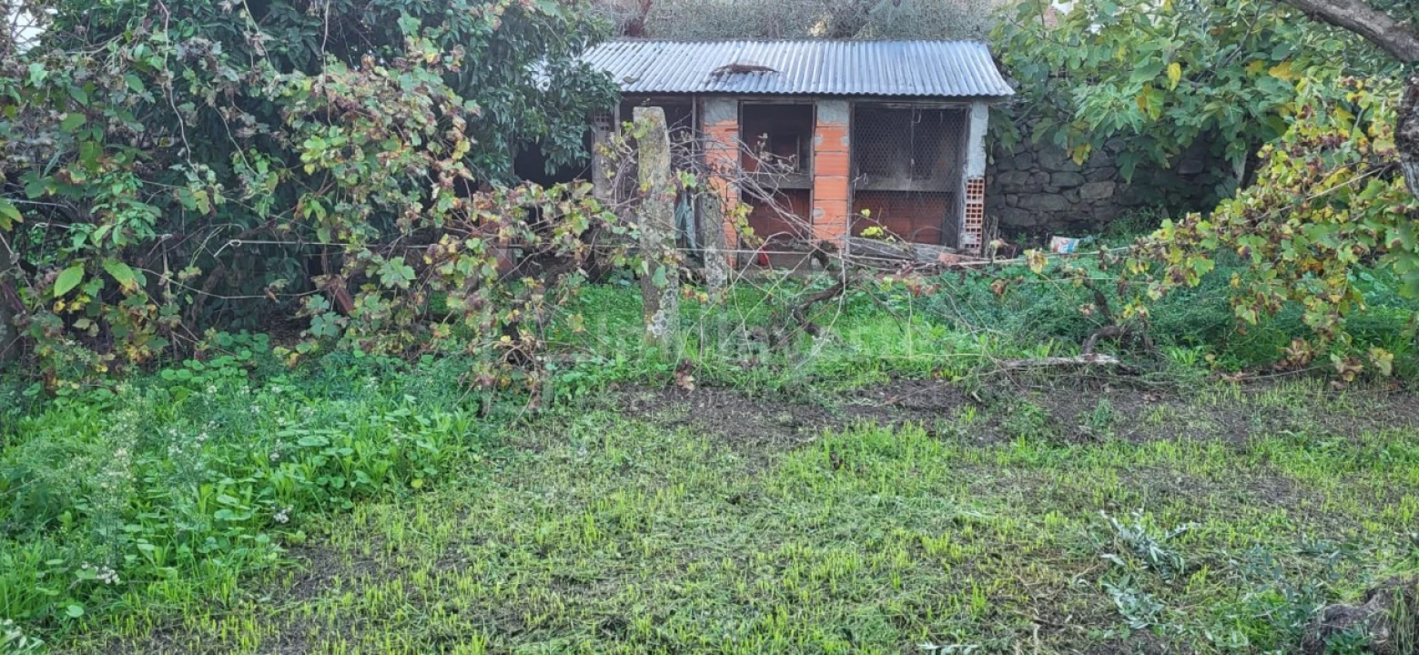 Terreno para Venda em Alcains Foto 6