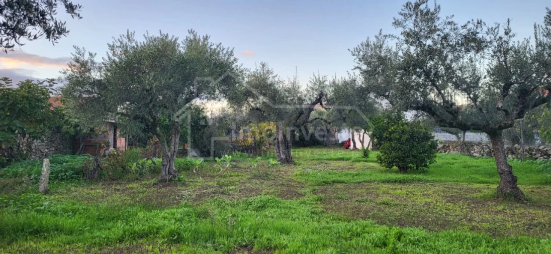 Terreno para Venda em Alcains Foto 2