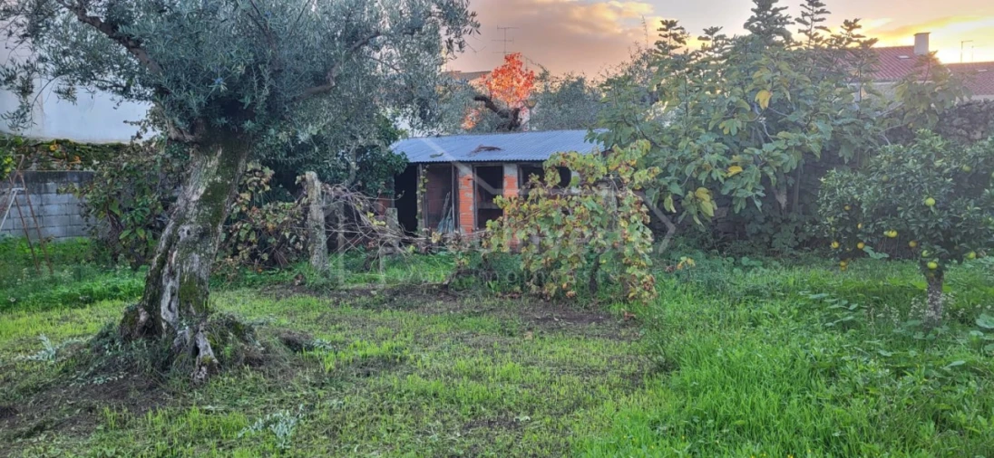 Terreno para Venda em Alcains Foto 4