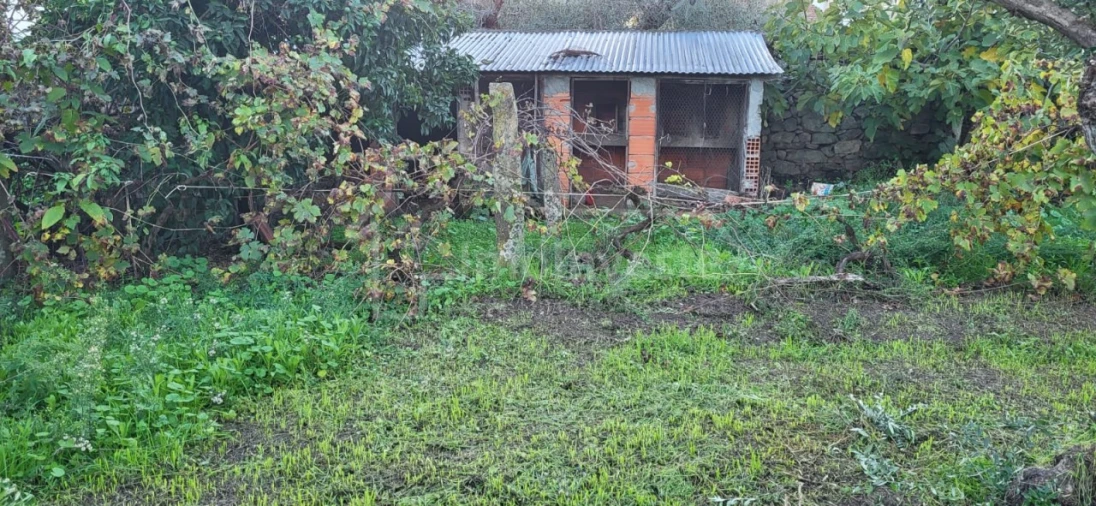 Terreno para Venda em Alcains Foto 6