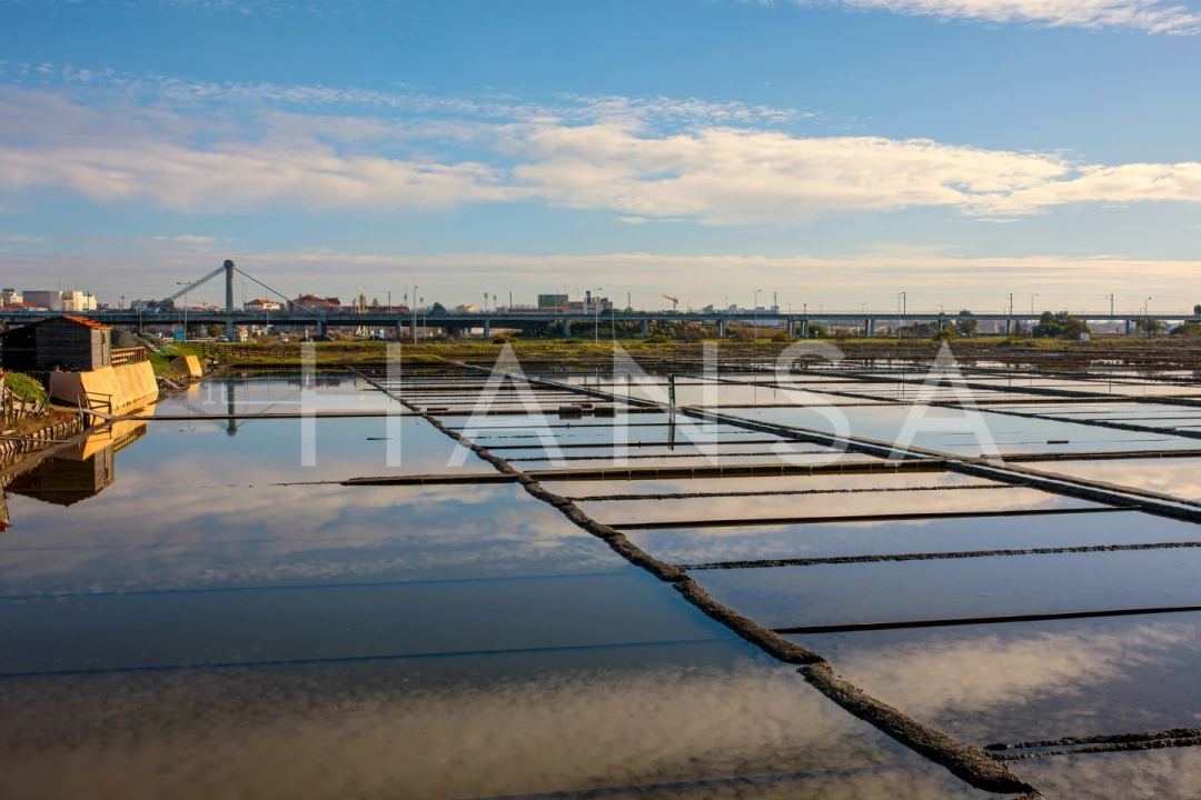 Apartamento T2 para Arrendamento férias em Glória e Vera Cruz Foto 23