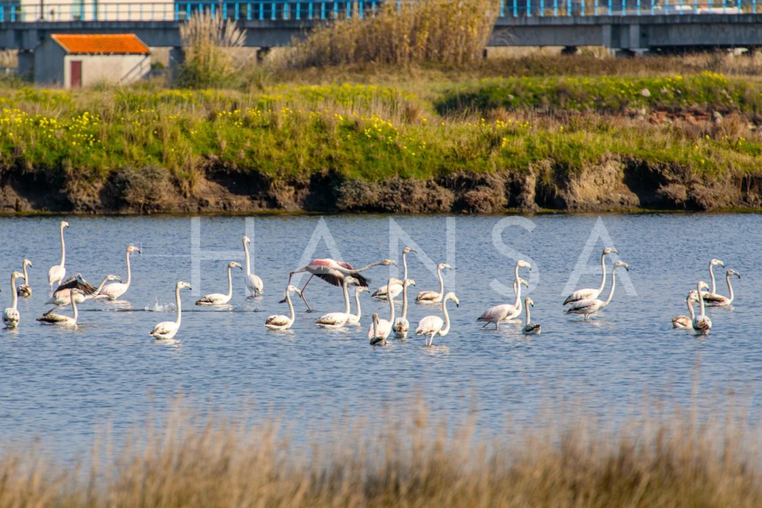 Apartamento T2 para Arrendamento férias em Glória e Vera Cruz Foto 26