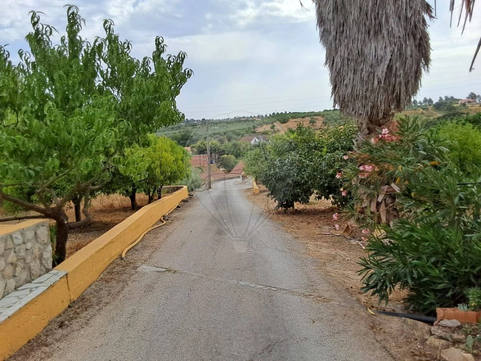 Moradia T3 para Venda em Azoia de Cima e Tremês Foto 21