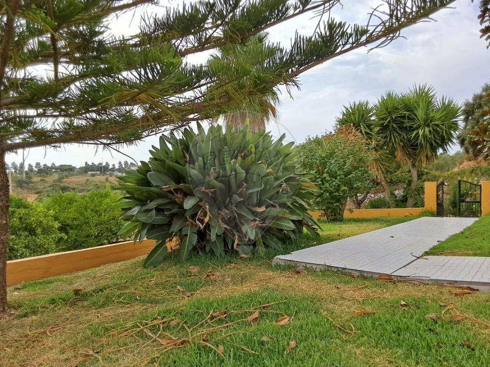 Moradia T3 para Venda em Azoia de Cima e Tremês Foto 27
