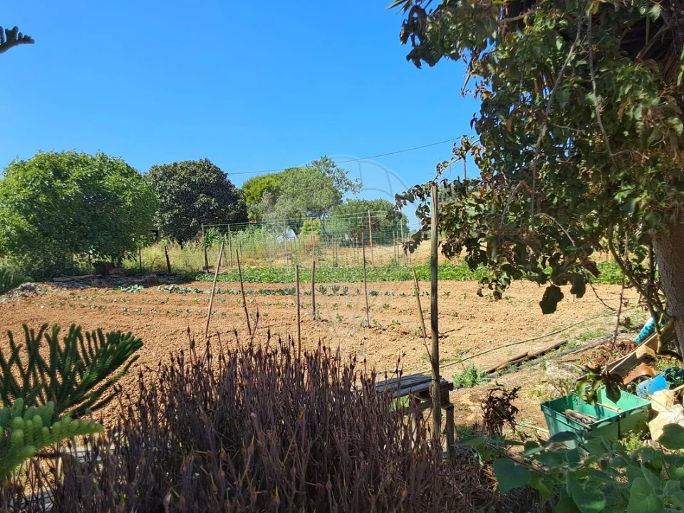 Moradia T3 para Venda em Azoia de Cima e Tremês Foto 31