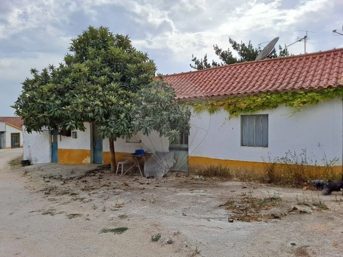 Moradia T3 para Venda em Azoia de Cima e Tremês Foto 24