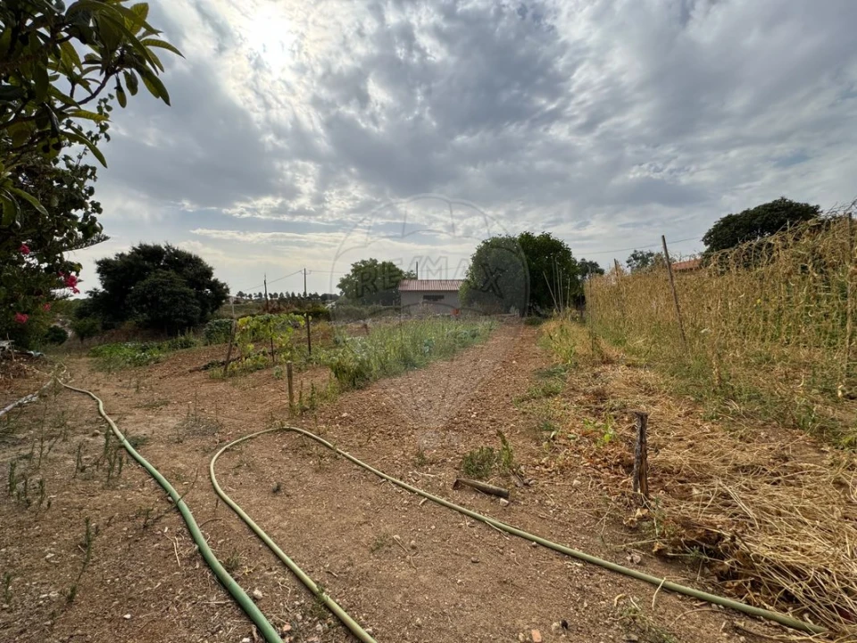 Moradia T3 para Venda em Azoia de Cima e Tremês Foto 14